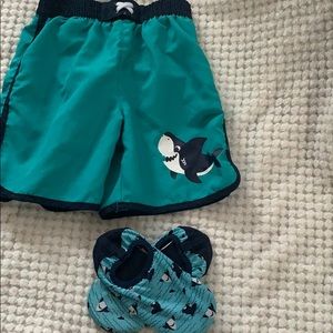 Shark swim trunks 24 months and water shoes 7-8c